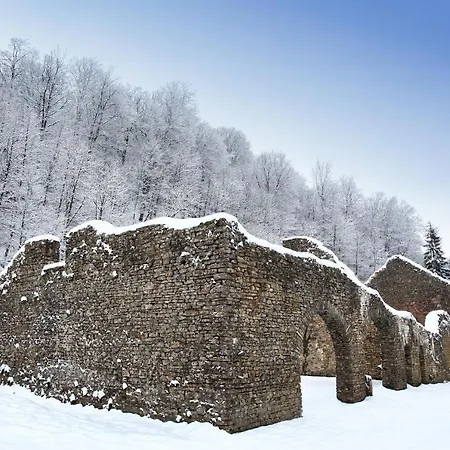 Zythogite 6 Personnes Avec Jardin, Bbq 아파트